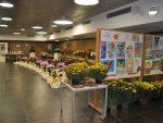 26.-28.10.2012 - Výstava chryzantém (1855)_020.jpg