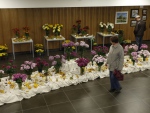 26.-28.10.2012 - Výstava chryzantém (1855)_019.jpg