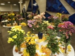 26.-28.10.2012 - Výstava chryzantém (1855)_004.jpg