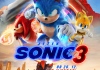 ježek sonic 3.jpg