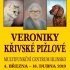 plakat_-_Krivska_Pizlova_A3.indd.pdf.jpg