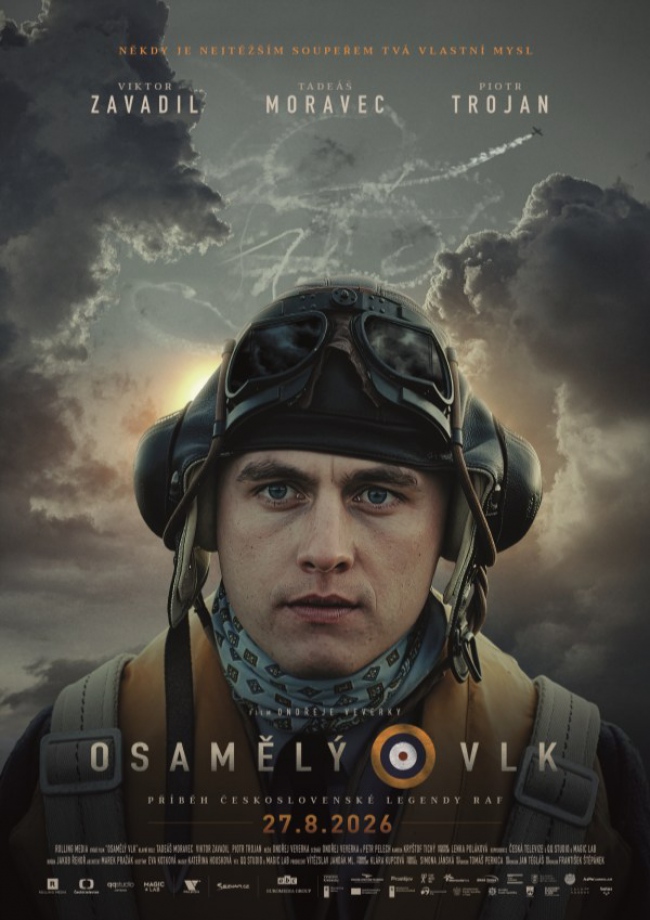 osamělý vlk.jpg
