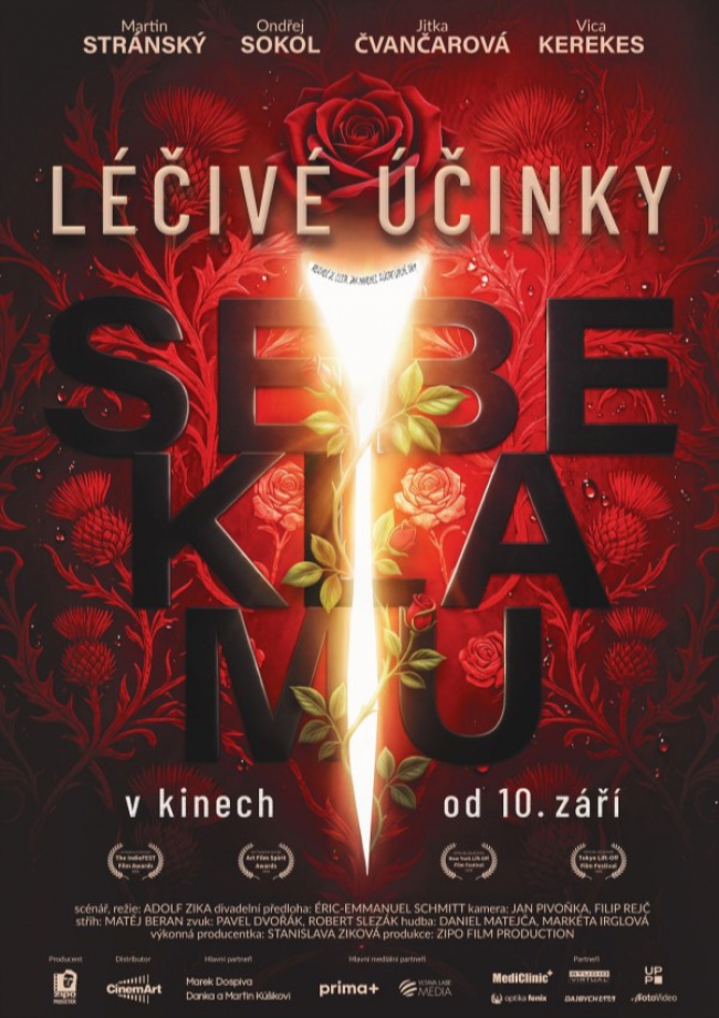 léčivé účinky sebeklamu.jpg