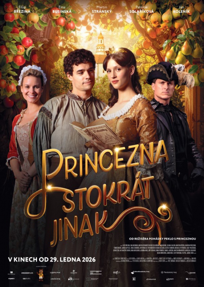 princezna stokrát jinak.jpg