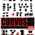 corvus quartet 2017.pdf.jpg