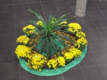 DSC01628.JPG