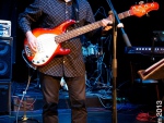 73.jpg